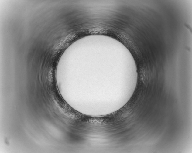 X0000100190690200806271619