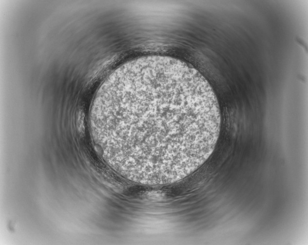X0000100190692200806271619