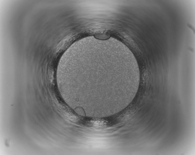 X0000100190693200806271619