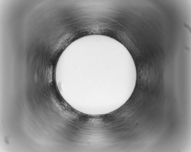 X0000100190694200806271619