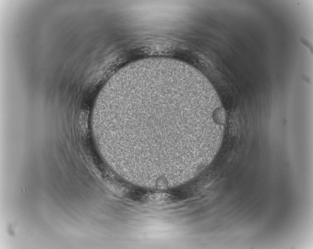 X0000100190695200806271619