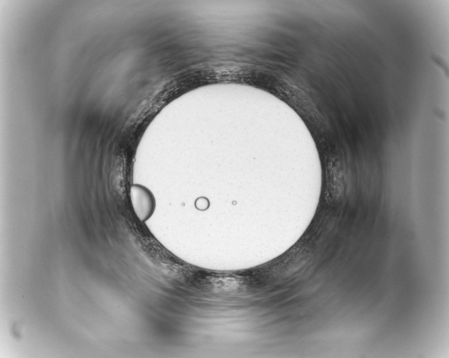 X0000100190698200806271619