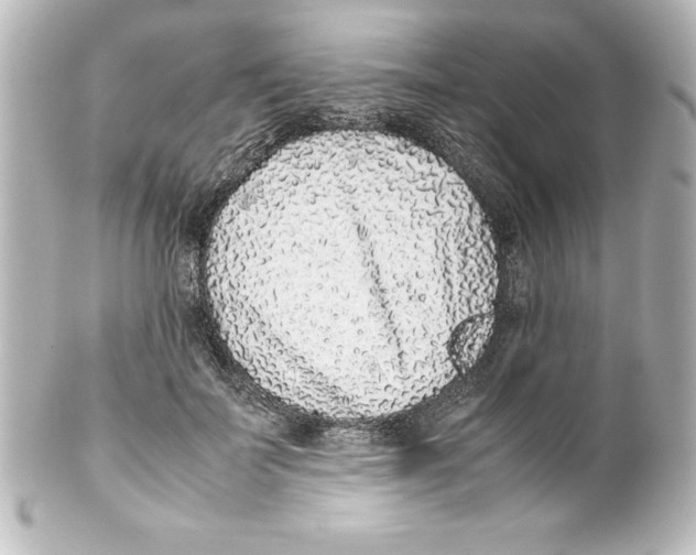 X0000100190699200806271619