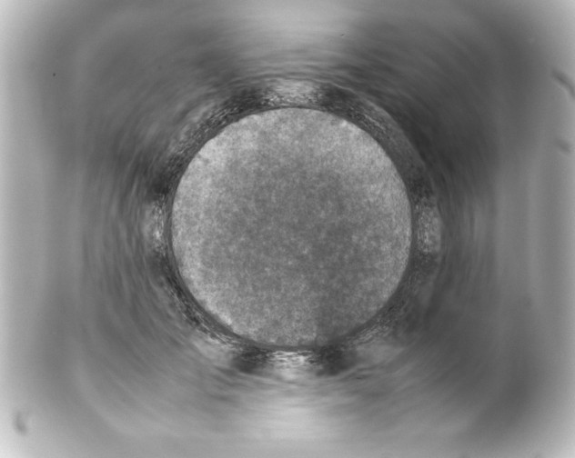 X0000100190701200806271619