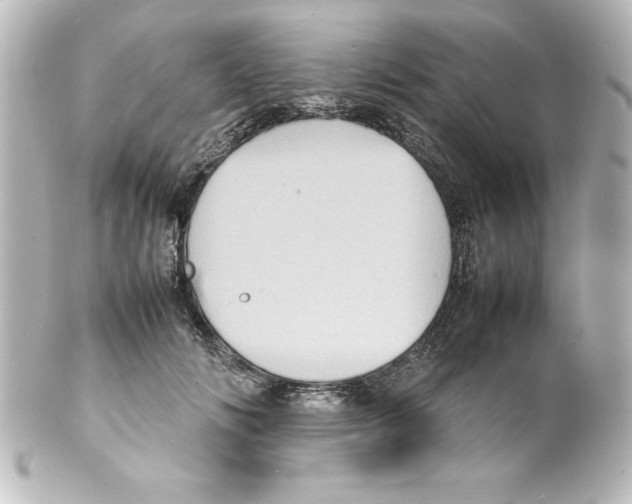 X0000100190702200806271619