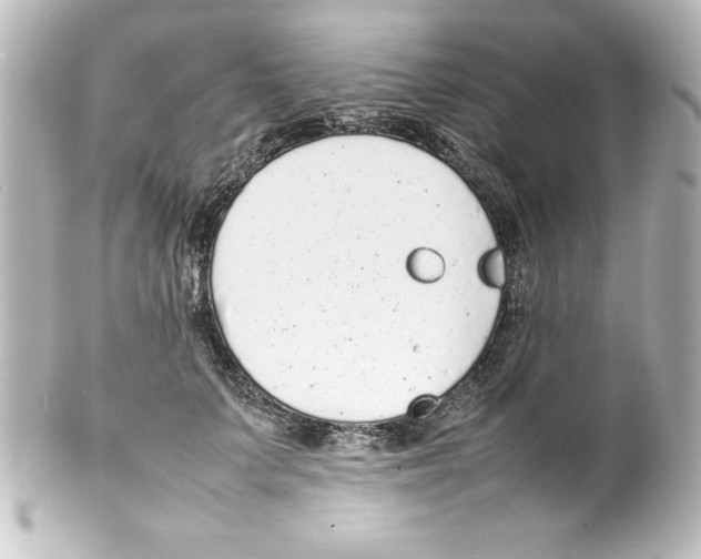X0000100190703200806271619