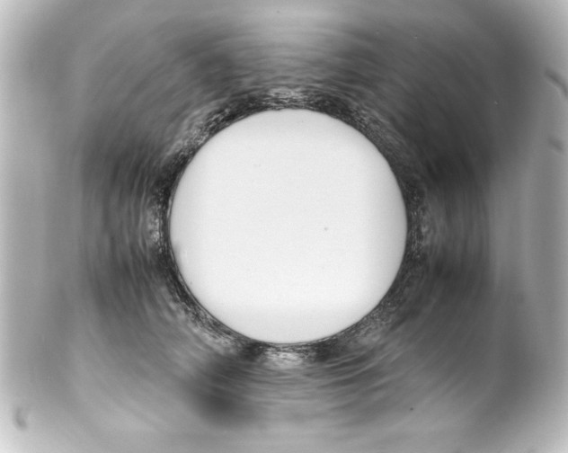 X0000100190706200806271619