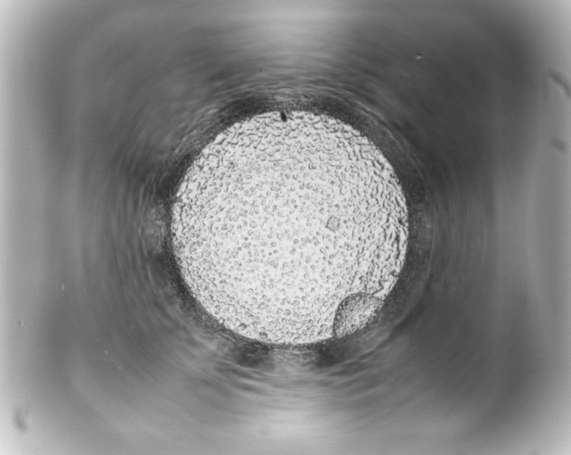 X0000100190707200806271619