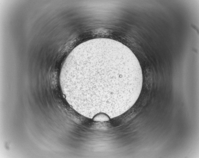 X0000100190708200806271619