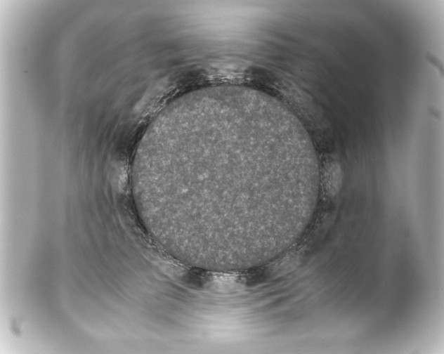 X0000100190709200806271619