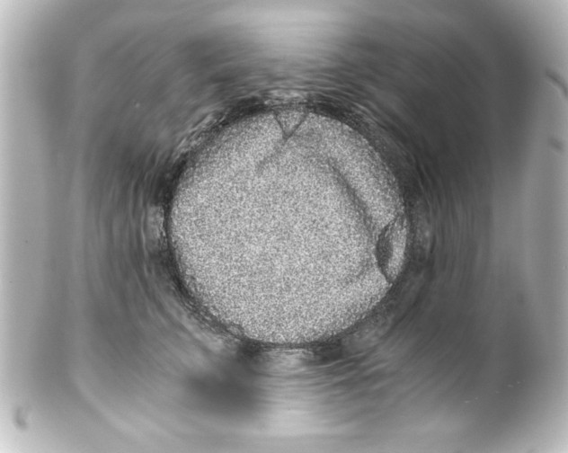 X0000100190711200806271619