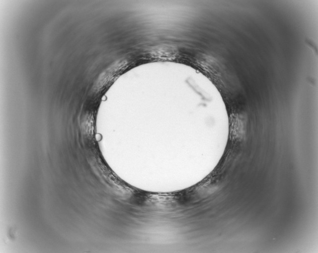 X0000100190713200806271619