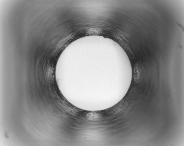 X0000100190714200806271619