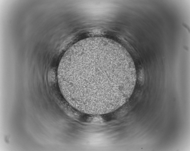 X0000100190715200806271619