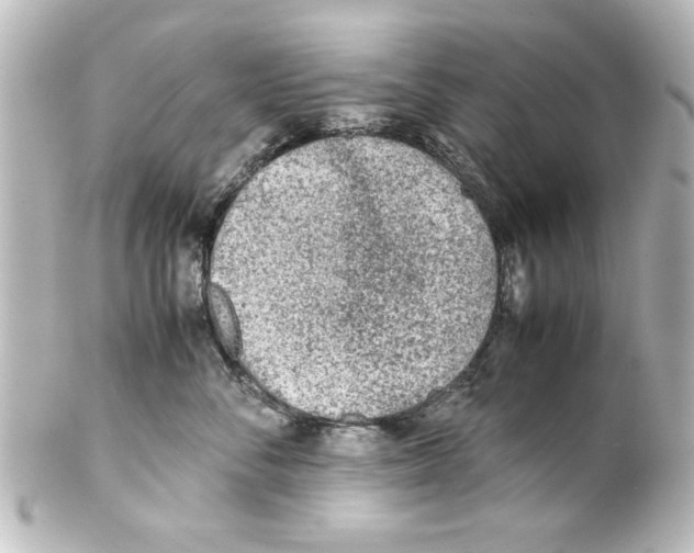 X0000100190716200806271619
