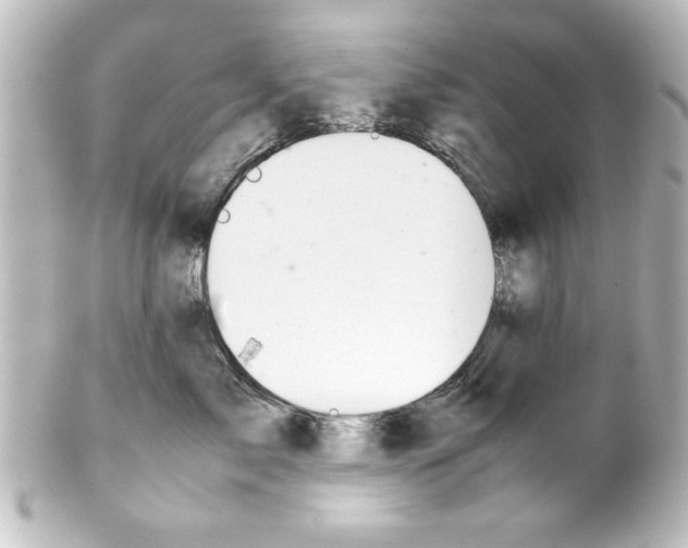 X0000100190717200806271619