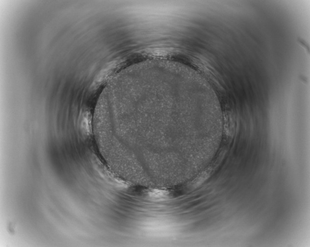 X0000100190718200806271619