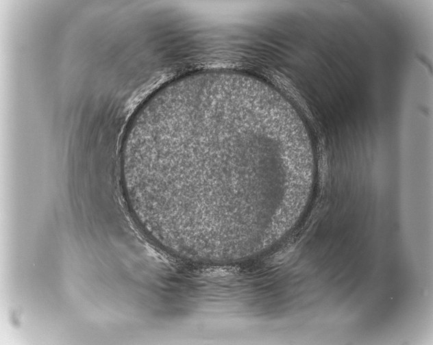 X0000100190721200806271618
