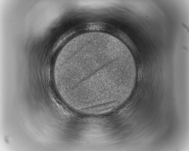 X0000100190722200806271618