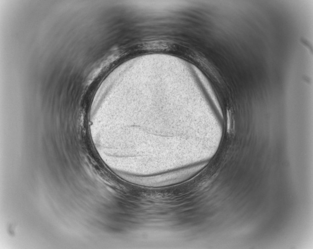 X0000100190723200806271618