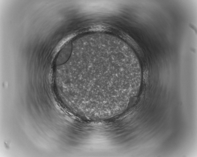 X0000100190724200806271618