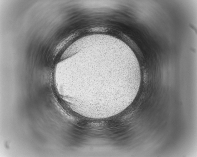 X0000100190725200806271618