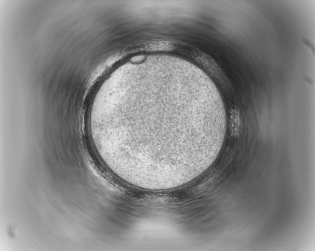 X0000100190726200806271618