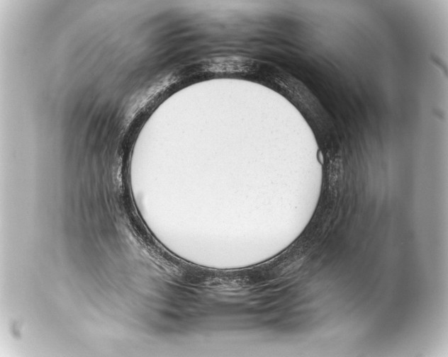 X0000100190727200806271618