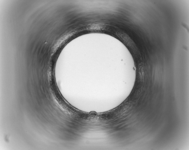 X0000100190728200806271618