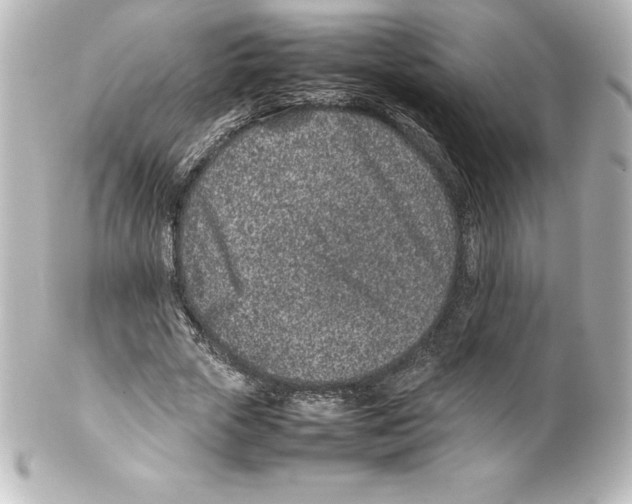 X0000100190729200806271618