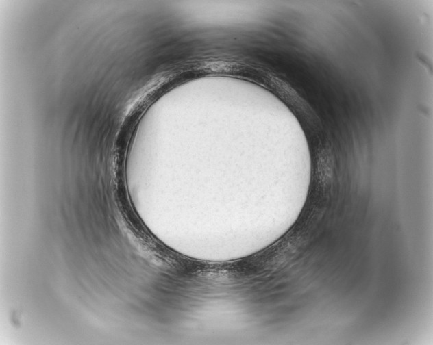 X0000100190730200806271618