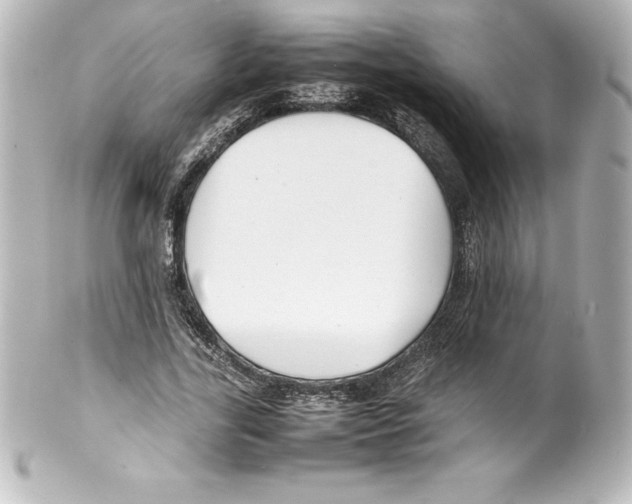 X0000100190731200806271618
