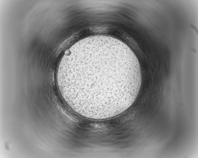 X0000100190733200806271618