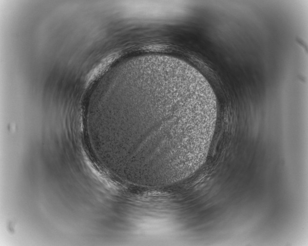 X0000100190734200806271618
