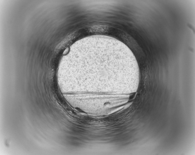 X0000100190735200806271618