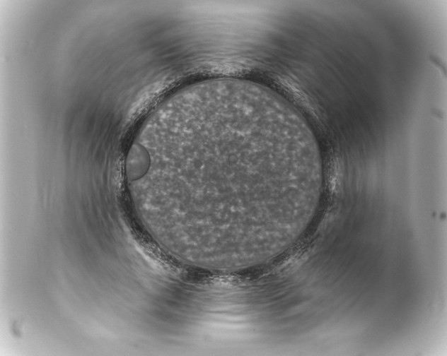 X0000100190736200806271618
