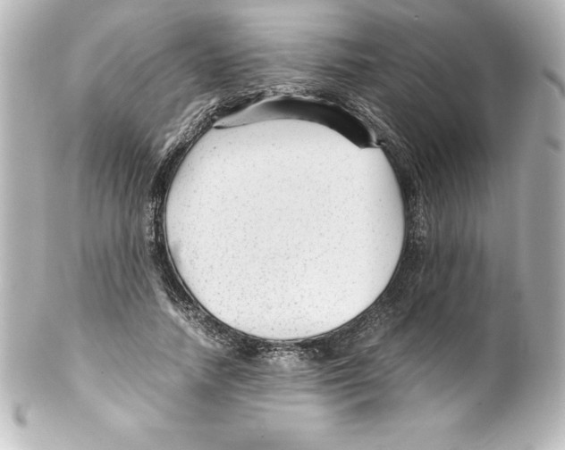 X0000100190738200806271618