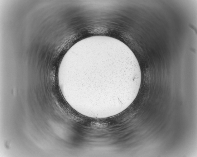 X0000100190739200806271618