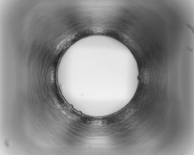 X0000100190740200806271618