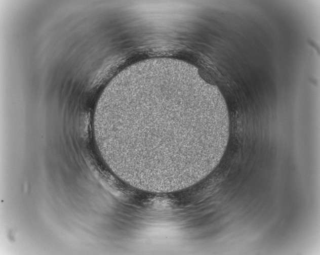 X0000100190742200806271618