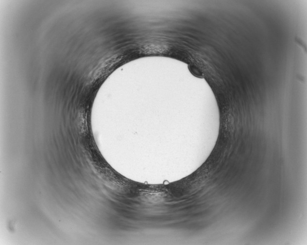 X0000100190743200806271618