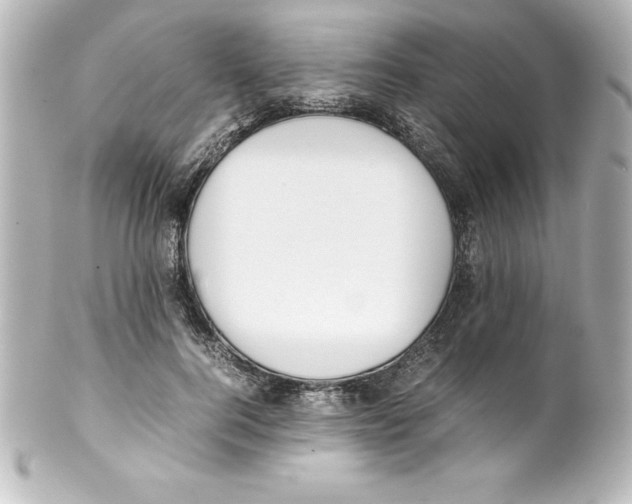 X0000100190744200806271618