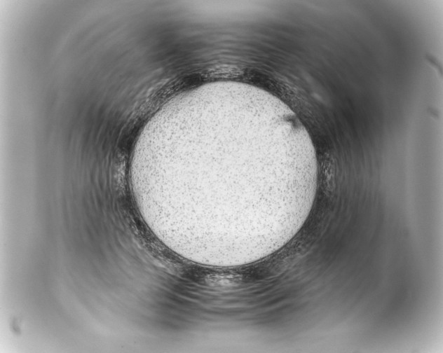 X0000100190745200806271618