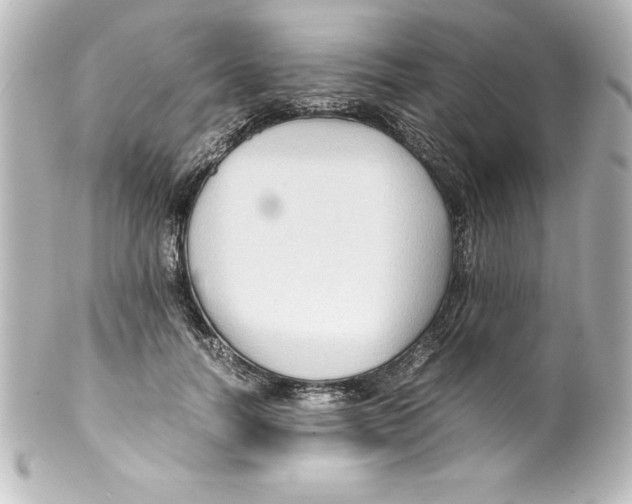 X0000100190746200806271618