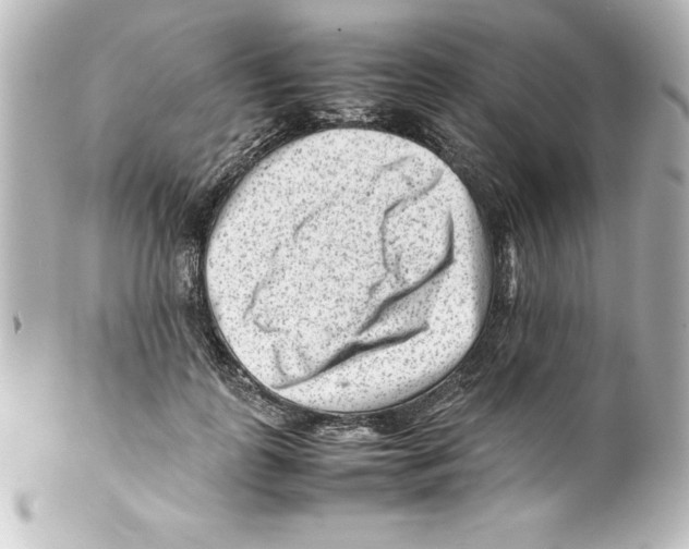 X0000100190747200806271618