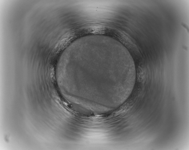 X0000100190748200806271618