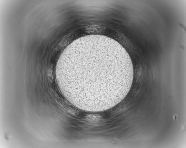 X0000100190749200806271618