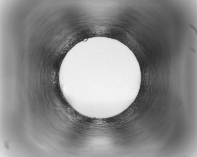 X0000100190750200806271618