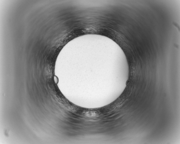 X0000100190751200806271618