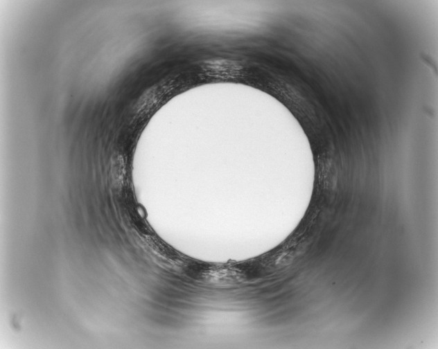 X0000100190752200806271618